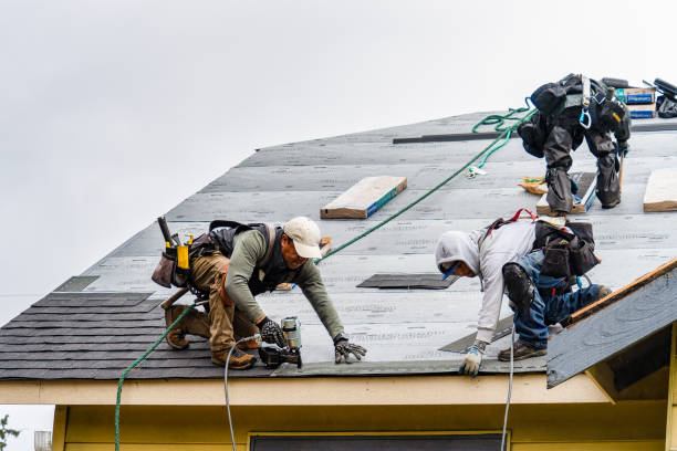 Professional Gutter Installation technician working in China, TX